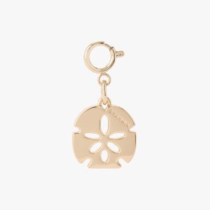 Small Sand Dollar