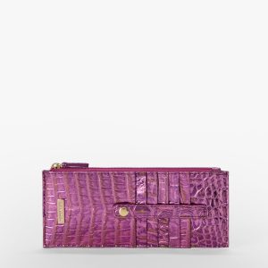 Credit Card Wallet